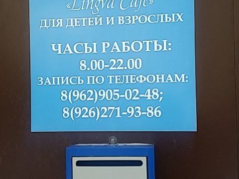 +79629050248 звонок из Lingva Cafe