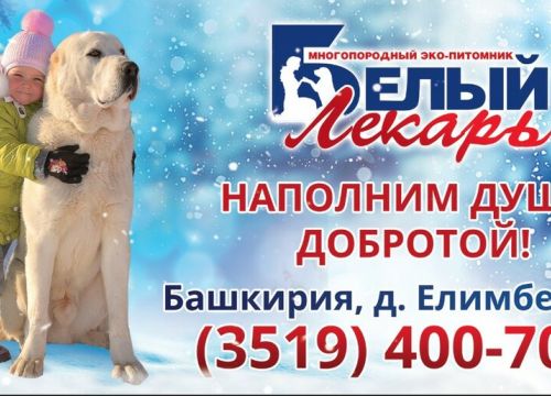 +79630960195 звонок из Белый лекарь