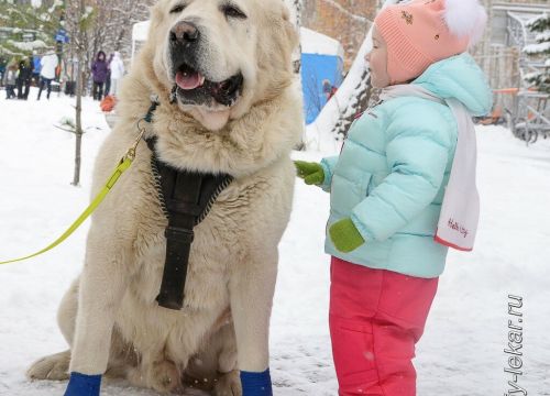 +79630960195 звонок из Белый лекарь