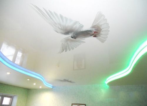 +79635310407 звонок из Строймонтаж 22