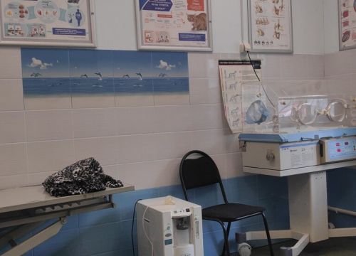 +79636170303 звонок из Веда