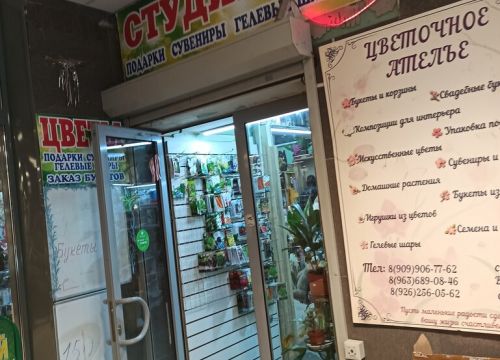 +79636890846 звонок из Цветы