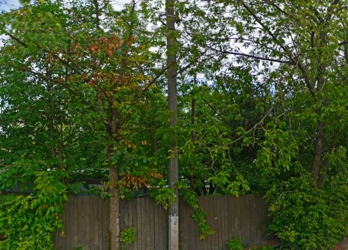 +79637110196 звонок из Автосалон-С