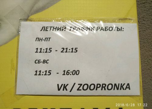 +79643333133 звонок из Мистер Пронька