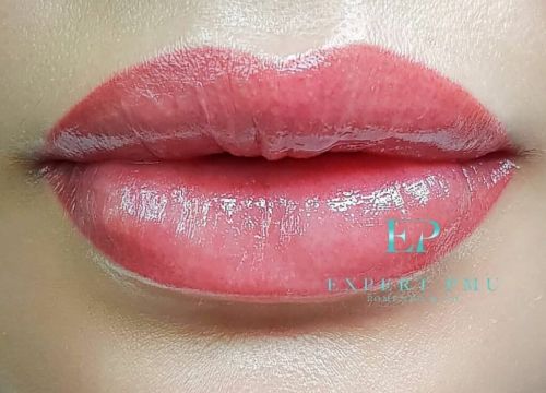 +79645520001 звонок из Expert Pmu