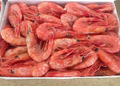 +79646269258 звонок из Пятый океан