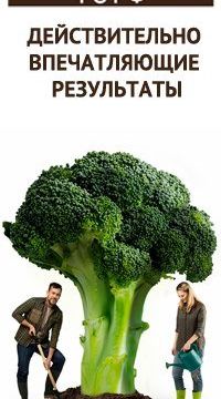 +79647282436 звонок из Лама Торф