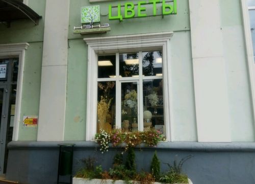 +79647901121 звонок из Цветочный дом Нэнэ