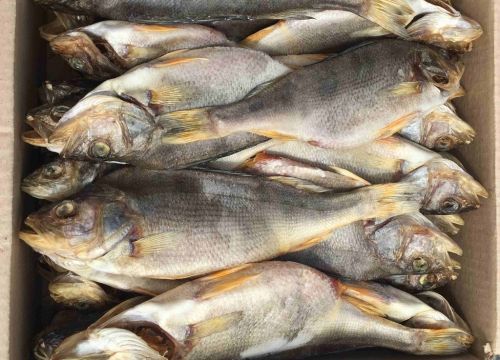 +79649201672 звонок из Рыбоперерабатывающий цех