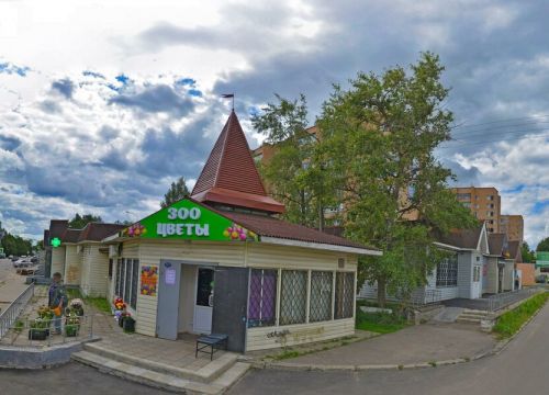 +79651150548 звонок из Цветы, зоотовары