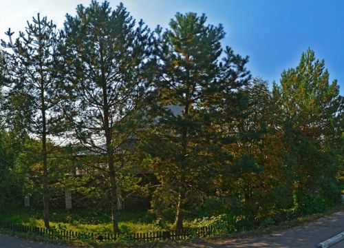 +79651270620 звонок из КормБаза