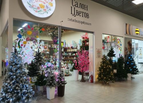 +79651320065 звонок из Цветочная поляна