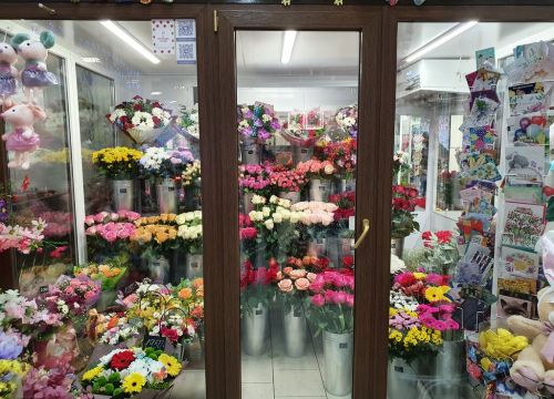 +79651320065 звонок из Цветочная поляна