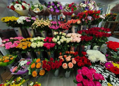 +79651320065 звонок из Цветочная поляна