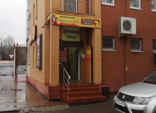 +79651890303 звонок из Живая планета