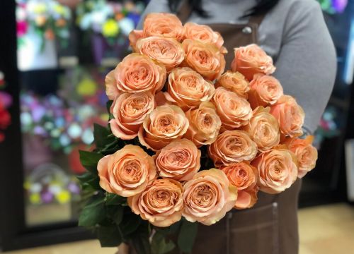 +79652831487 звонок из Elen Fler