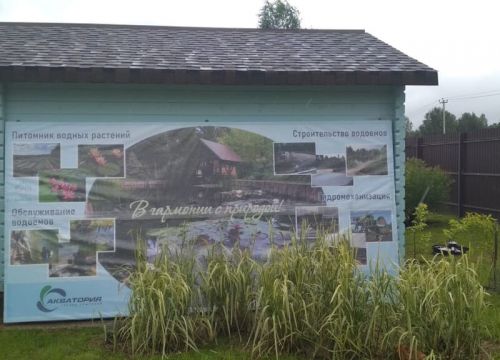 +79653200089 звонок из Питомник водных растений Камыши