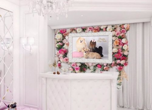 +79653710033 звонок из Barvikha Dog Studio