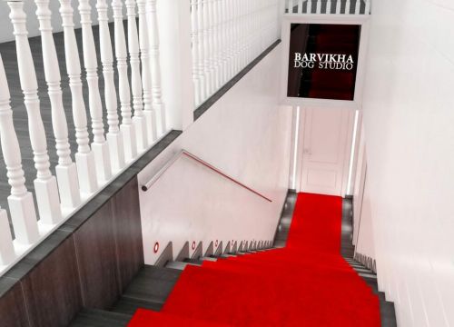 +79653710033 звонок из Barvikha Dog Studio