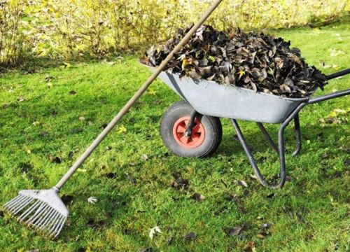 +79654070966 звонок из РуКлининг