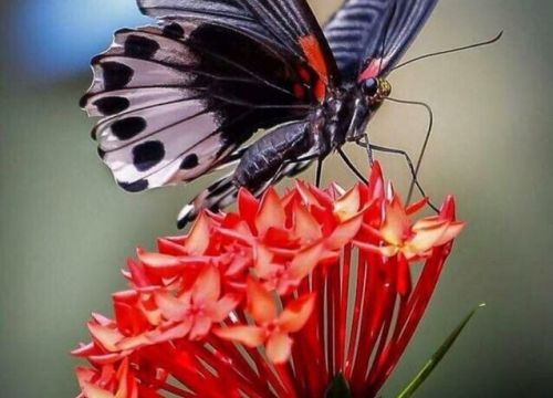 +79654952277 звонок из Бюро по Туризму и Экскурсиям