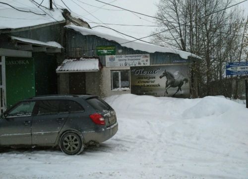 +79655515111 звонок из Эонис