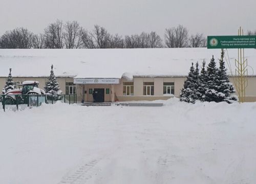 +79655990578 звонок из Компания Олимп