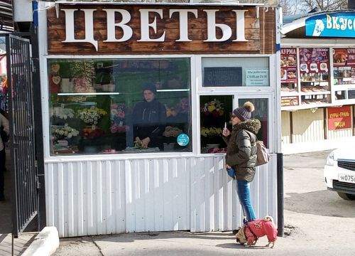 +79657073337 звонок из Цветочное авеню