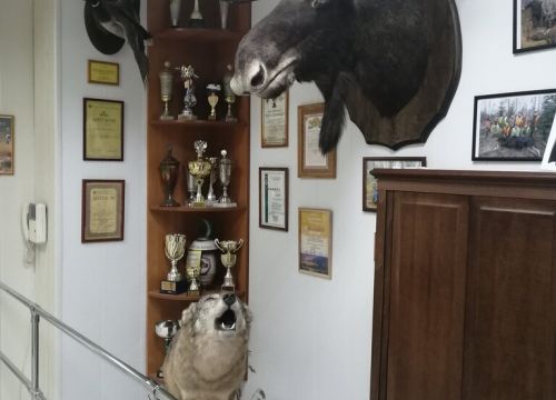 +79657942912 звонок из Межрегиональное отделение Военно-Охотничьего общества Общероссийской спортивной общественной организации