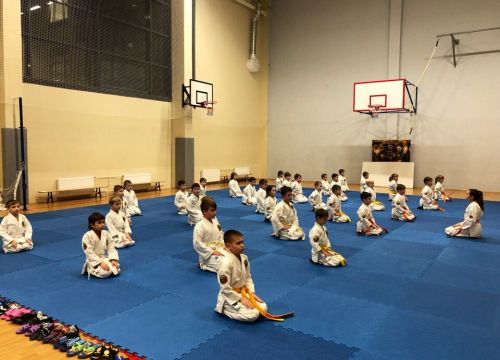 +79658080909 звонок из Рфсоо Тораномаки - Новгородская область, Каратэ, Кобудо, Иайдо и Баттодо Великий Новгород