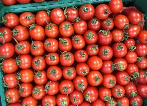 +79660040740 звонок из Bio Veggie