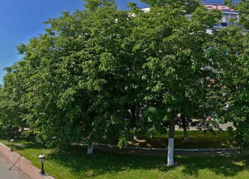 +79661281655 звонок из Mini Moda