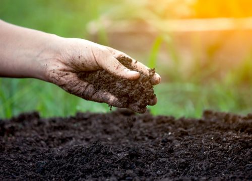 +79661833399 звонок из Garden-sale.ru