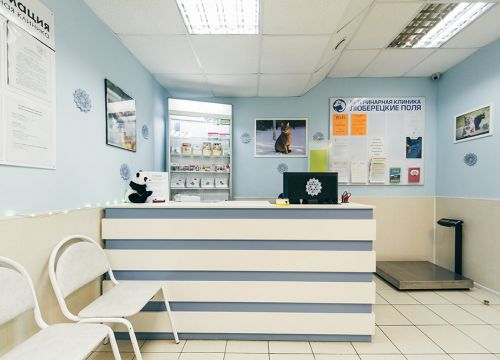 +79670700202 звонок из Люберецкие Поля