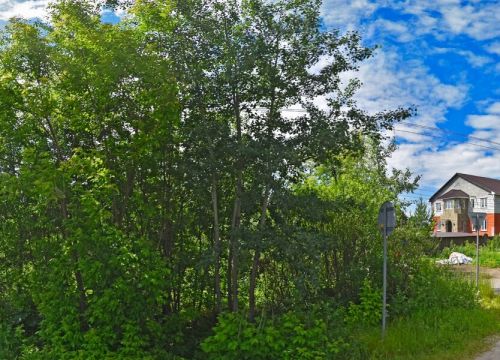 +79671830497 звонок из Центр реабилитации Шанс