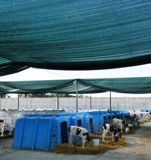 +79672333250 звонок из СКК Виктория-Агро