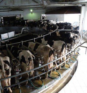 +79672333250 звонок из СКК Виктория-Агро