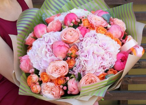 +79672933232 звонок из Dakota flora