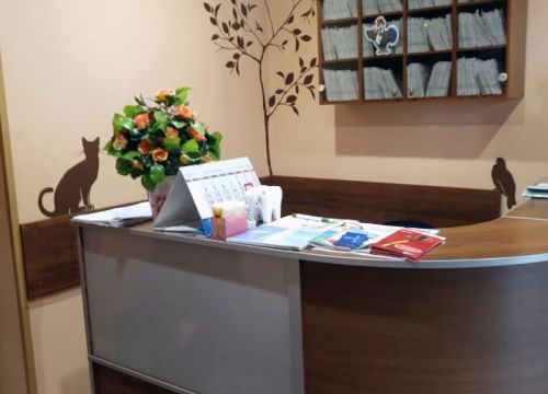 +79675341457 звонок из Юлдент