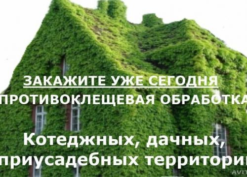 +79677015545 звонок из Риал-77