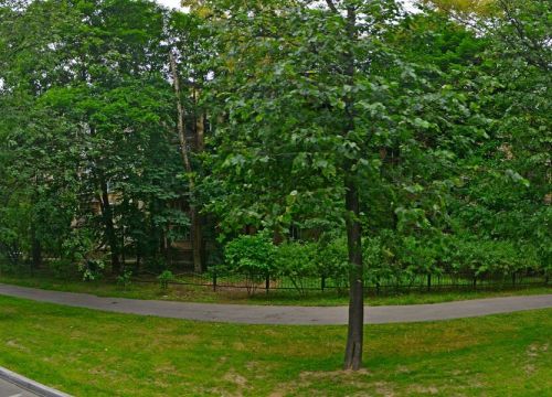 +79677925245 звонок из Mayoroff