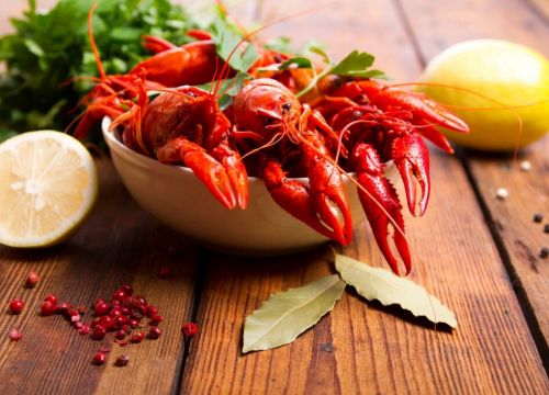 +79683971234 звонок из Живые раки