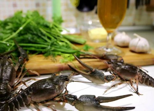 +79683971234 звонок из Живые раки