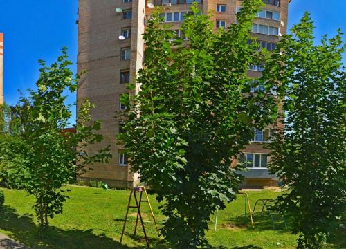 +79684000555 звонок из Хорс Групп