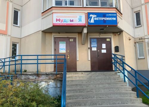 +79685662434 звонок из Мудрый Я