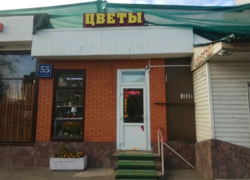 +79685783586 звонок из Цветы