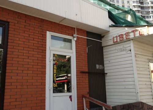 +79685783586 звонок из Цветы