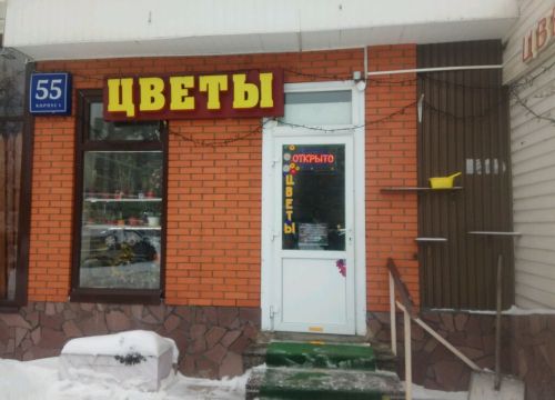 +79685783586 звонок из Цветы