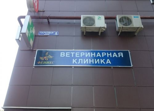 +79685841129 звонок из Феникс