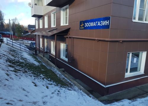 +79685841129 звонок из Феникс